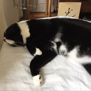 Meet your Posher, Pete